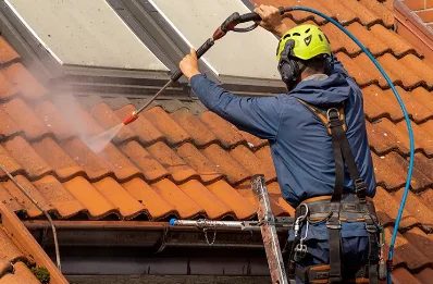 Démoussage et hydrofuge de toiture à Verjon